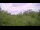 Webcam in Metairie, Louisiana, 269 km