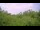 Webcam in Metairie, Louisiana, 352.5 km