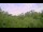 Webcam in Metairie, Louisiana, 225 km