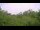 Webcam in Metairie, Louisiana, 356.8 km