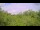 Webcam in Metairie, Louisiana, 259 km