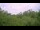 Webcam in Metairie, Louisiana, 165.3 km
