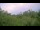 Webcam in Metairie, Louisiane, 259.9 km