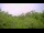 Webcam in Metairie, Louisiana, 6.9 km entfernt