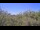 Webcam in Metairie, Louisiana, 76 mi away