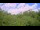 Webcam in Metairie, Louisiana, 4.3 mi away