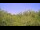 Webcam in Metairie, Louisiana, 196.9 km