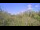 Webcam in Metairie, Louisiana, 56.3 mi away