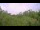 Webcam in Metairie, Louisiana, 76 mi away