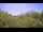 Webcam in Metairie, Louisiane, 296.3 km