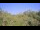 Webcam in Metairie, Louisiana, 4.3 mi away