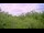 Webcam in Metairie, Louisiane, 12.5 km