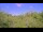 Webcam in Metairie, Louisiana, 259 km
