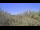 Webcam in Metairie, Louisiana, 135.5 mi away