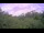 Webcam in Metairie, Louisiana, 342.2 km entfernt