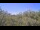 Webcam in Metairie, Louisiana, 76 mi away