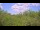 Webcam in Metairie, Louisiana, 262 km