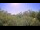 Webcam in Metairie, Louisiane, 262 km