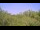 Webcam in Metairie, Louisiana, 4.3 mi away