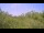 Webcam in Metairie, Louisiana, 11.1 km