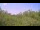 Webcam in Metairie, Louisiana, 76 mi away