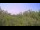 Webcam in Metairie, Louisiana, 145.9 km
