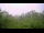Webcam in Metairie, Louisiane, 145.9 km