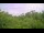 Webcam in Metairie, Louisiana, 145.9 km