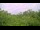 Webcam in Metairie, Louisiane, 200.8 km