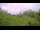 Webcam in Metairie, Louisiana, 76 mi away