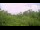 Webcam in Metairie, Louisiana, 2.5 mi away