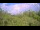 Webcam in Metairie, Louisiana, 96.7 mi away