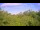 Webcam in Metairie, Louisiana, 317.2 km