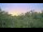 Webcam in Metairie, Louisiana, 11.1 km entfernt