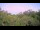 Webcam in Metairie, Louisiana, 2.1 mi away