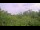 Webcam in Metairie, Louisiana, 2.5 mi away