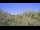 Webcam in Metairie, Louisiana, 8.1 mi away