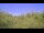 Webcam in Metairie, Louisiana, 27.5 mi away