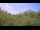 Webcam in Metairie, Louisiana, 76 mi away
