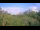 Webcam in Metairie, Louisiana, 122.5 mi away