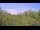 Webcam in Metairie, Louisiana, 17.7 km entfernt