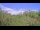 Webcam in Metairie, Louisiana, 89.4 mi away