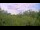 Webcam in Metairie, Louisiana, 317.2 km entfernt