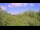 Webcam in Metairie, Louisiana, 109.6 mi away