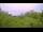 Webcam in Metairie, Louisiana, 196.9 km entfernt
