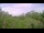 Webcam in Metairie, Louisiana, 2.7 mi away