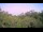 Webcam in Metairie, Louisiane, 158.1 km