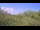 Webcam in Metairie, Louisiana, 71.4 km