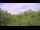 Webcam in Metairie, Louisiane, 278.3 km