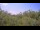 Webcam in Metairie, Louisiana, 2.7 mi away